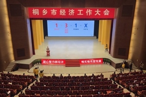 【菊鄉(xiāng)快評(píng)】經(jīng)濟(jì)工作大會(huì)上，桐鄉(xiāng)市委書記為何重點(diǎn)講巨石的電子布？