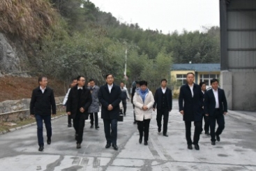 中國建材集團黨委書記、董事長周育先調(diào)研巨石九江鈣業(yè)公司